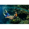 thumbnail image 4 of Ocean Reef - Aria Classic - Snorkeling Mask, 4 of 12