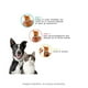 thumbnail image 3 of Collar Antipulgas Antigarrapatas para Perros y Gatos Duracion 8 Meses MATCHI Morado, 3 of 4