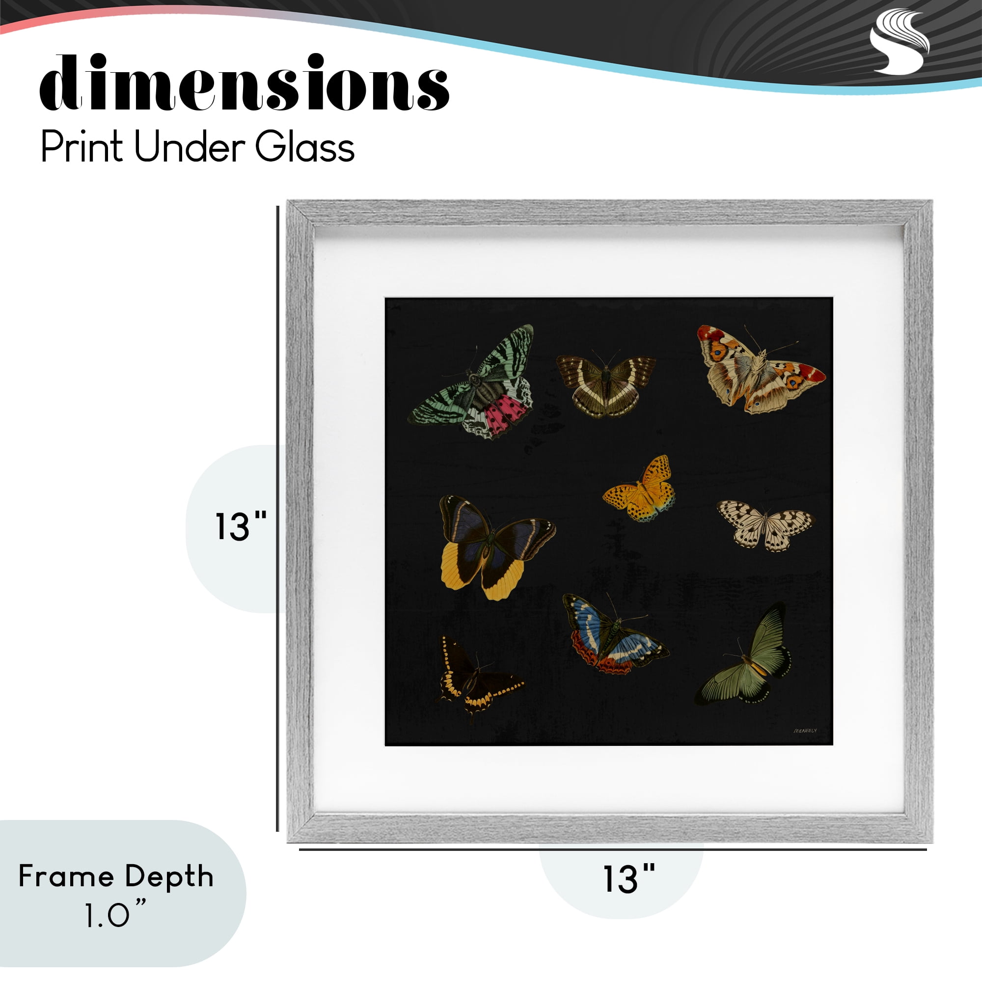 Stupell Industries Butterfly & Moth Collection Gray Framed Print Under Glass, design by Dan Meneely