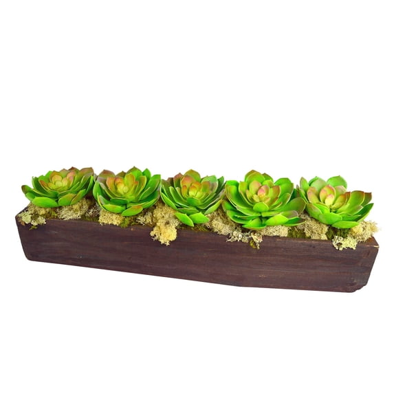 T&C Floral Copmany Echeverias in Hand-carved Wood Log