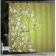 thumbnail image 3 of Ambesonne Japanese Shower Curtain, Sakura Bloom Spring Season, 69"Wx70"L, Pale Olive Green, 3 of 4