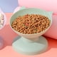 thumbnail image 5 of Cuenco alto para gatos con boca oblicua elevada para evitar caídas, cuenco elevado inclinado para alimentación de alimentos para gatos, perros pequeños y medianos, verde, 5 of 5