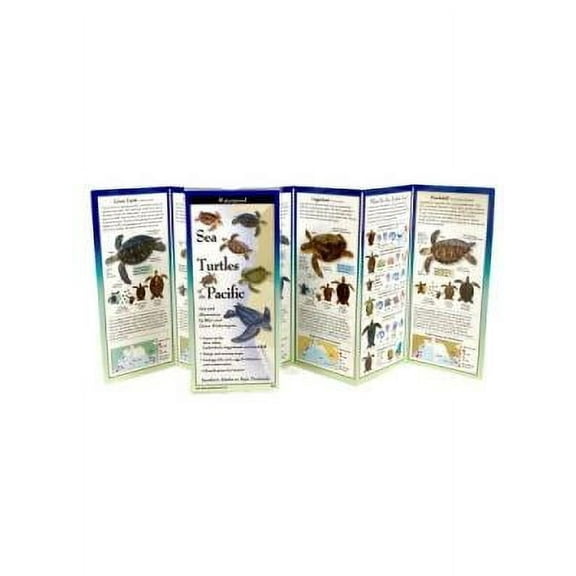 Sea Turtles of the Pacific Coast