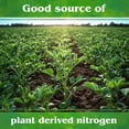 thumbnail image 6 of Down to Earth Alfalfa Meal Fertilizer 2-0-1 – 4 lb Organic, Non-GMO, OMRI Listed for Organic Gardening Pack of 2, 6 of 7