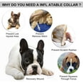 thumbnail image 3 of Adjustable Pet Recovery Collar - Anti-Bite Protection Cone, 3 of 5