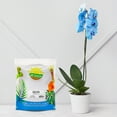 thumbnail image 2 of Orchid Potting Soil Mix (2 Quarts); Fast Draining Healthy Media for Planting/Repotting, 2 of 10