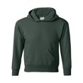 thumbnail image 1 of Hanes Jeunesse 7,8 oz ComfortBlend EcoSmart 50/50 Chandail à Capuchon, 1 of 5