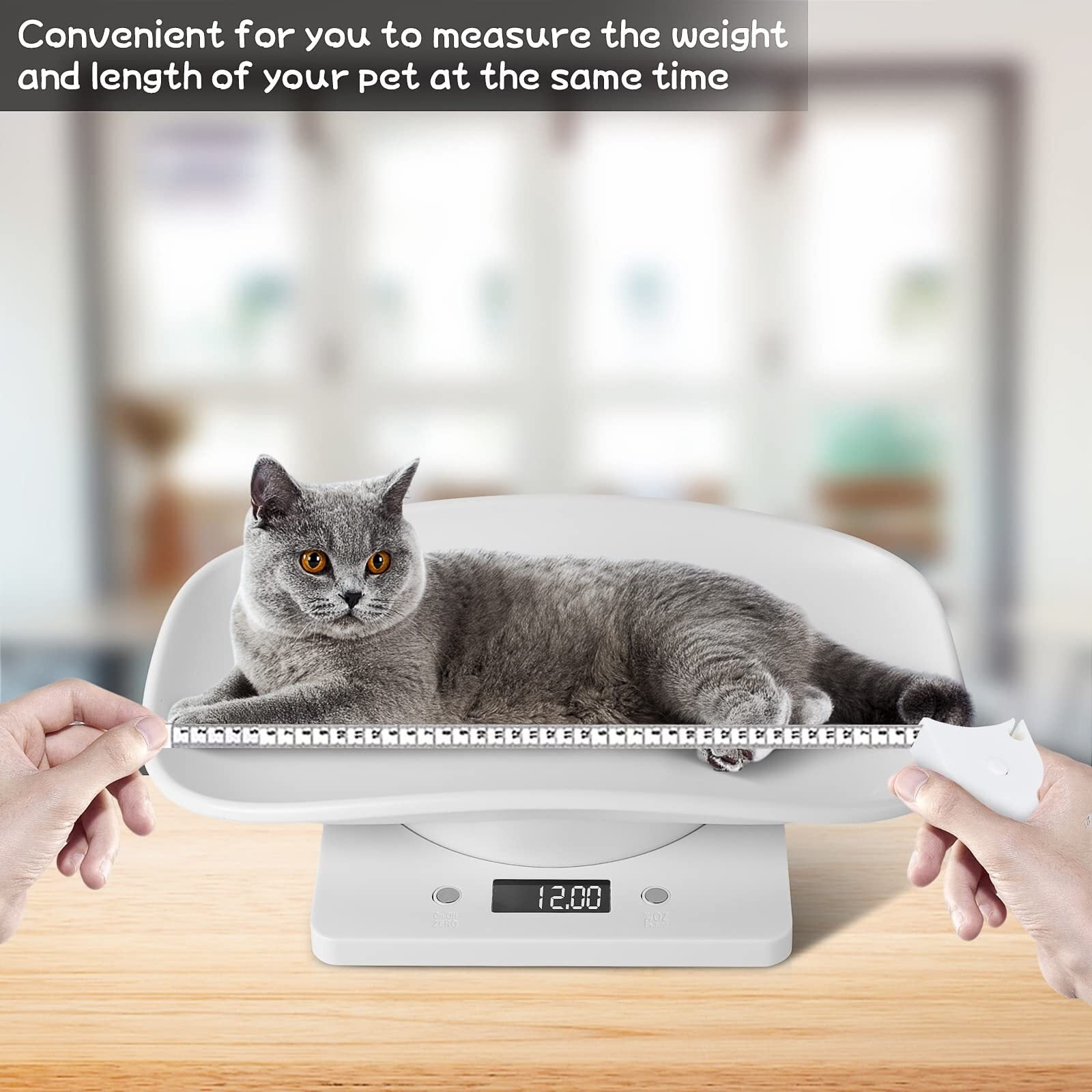 Scale for Pet, Small Pet Scale, Puppy Scales for Weighing, Puppy Whelping Scale, Dog Cat Scale, Portable Newborn Pet Scale for Small Animals, Baby Kittens Weight Scale, Max 33lb11.4 inch