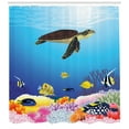 thumbnail image 3 of Ambesonne Turtle Shower Curtain, Aquatic Fauna Corals, 69"Wx84"L, Multicolor, 3 of 3