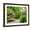 Brown Frame, variant on Art.com USA, Washington State. Bellevue and the Bellevue Botanical Gardens springtime blooming Rhododendron Stretched Canvas Print Wall Art by Sylvia Gulin, 16" x 12"