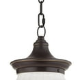 thumbnail image 5 of Hudson Valley Lighting 5012 Dutchess 1 Light 12" Wide Pendant - Brass, 5 of 7