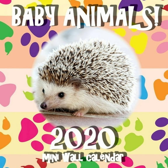 Baby Animals! 2020 Mini Wall Calendar, (Paperback)
