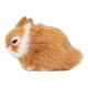 thumbnail image 5 of Muñeco de Peluche de Conejos ANGGREK Conejos de Peluche en Miniatura 13 x 9 cm, 5 of 8