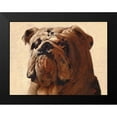 thumbnail image 2 of Fluharty, Thomas 18x15 Black Modern Framed Museum Art Print Titled - Bulldog, 2 of 5
