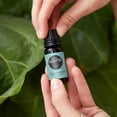 thumbnail image 2 of Aceite esencial Edens Garden Eucalyptus Radiata 30 ml (1 fl oz), 2 of 9