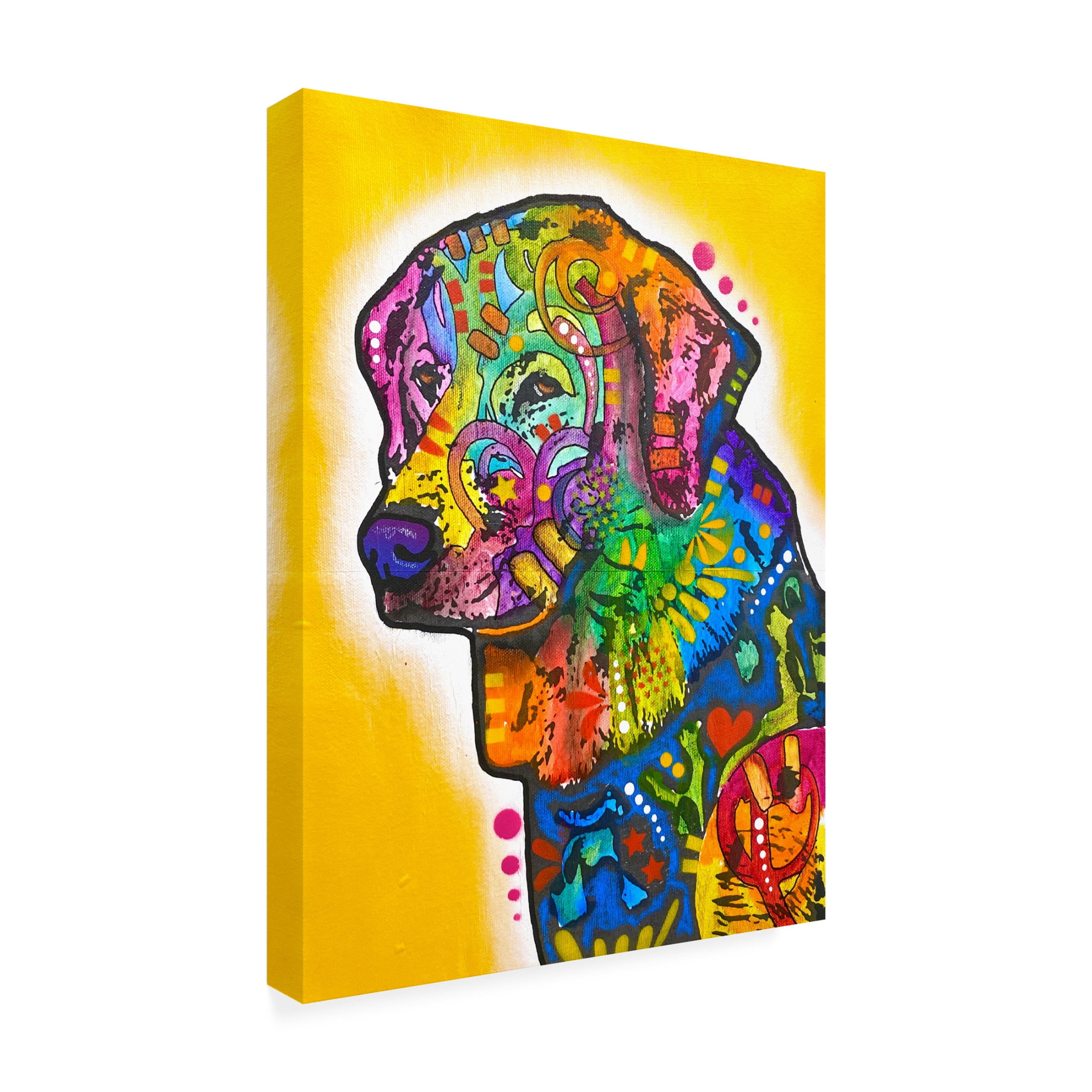 Canvas Wall Art - Dean Russo 'I Am Sorry I Boofed' Wall Art for Living Room, Bedroom, or Office Décor by Trademark Fine Art - 35 x 47 Inches