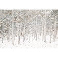 thumbnail image 3 of Lake, Shelley 14x11 Black Modern Framed Museum Art Print Titled - White Snow Wonderland, 3 of 5