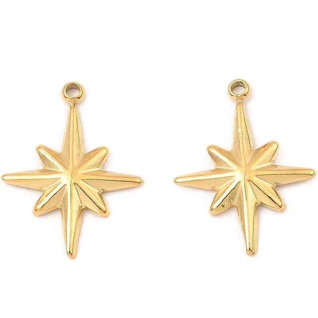 2 Pcs Star Pendant Charms 304 Stainless Steel Pendants Star Charm Real 18K Gold Plated Metal Charms Pendant Pendant Decoration for Women DIY Necklace Bracelet Earring Jewelry Craft Making