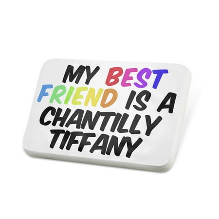 Porcelein Pin My best Friend a Chantilly tiff-cats Cat from United States Lapel Badge – (Best Cat Tracker Uk)