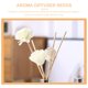 thumbnail image 3 of unbranded 5Jgo Varillas Aromáticas De Rattan Para Difusor Ideal Para Hogar Y Oficinas, 3 of 8