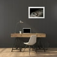 thumbnail image 4 of C. Thomas McNemar 18x13 White Modern Wood Framed Wall Art Titled - Leather Strap, 4 of 5