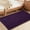 Plum, variant on Soft Plush Microfiber Bathroom Rugs, Absorbent Bath Rugs Non Skid Machine Wash Dry Bath Mats for Tub,Shower and Bath Room Floor Mats (20x32inches, Sage Green)