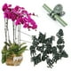 thumbnail image 5 of Clips para plantas, 50 piezas de clips de plástico para plantas, clips de fijación para enredaderas, clips de plástico para plantas, características mejoradas, 5 of 7
