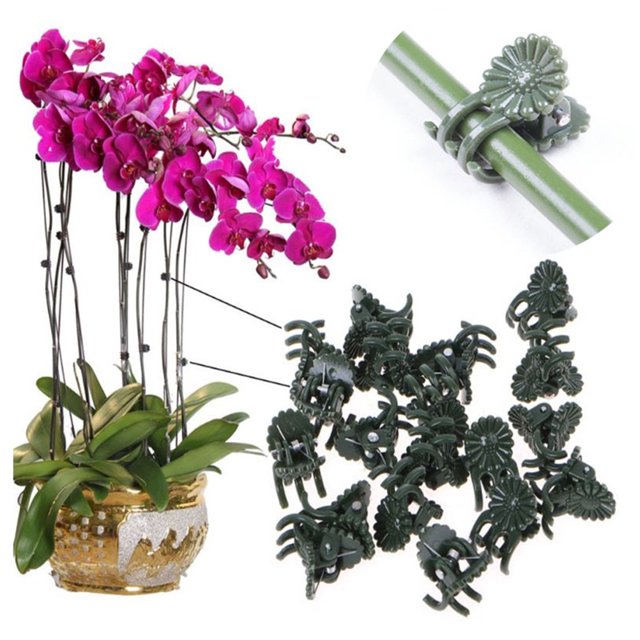 Plant Clips,50Pcs Plastic Plant Clips Plastic Plant Clips Vine Fixing Clip Eco-Friendly Materials