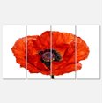 thumbnail image 2 of Red Poppy Blossom Close Up - Floral Canvas Art Print, 2 of 3