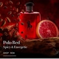 thumbnail image 4 of Set de colonia Ralph Lauren Polo Red & Polo 67 15ml, 4 of 4