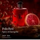 thumbnail image 4 of Set de colonia Ralph Lauren Polo Red & Polo 67 15ml, 4 of 4