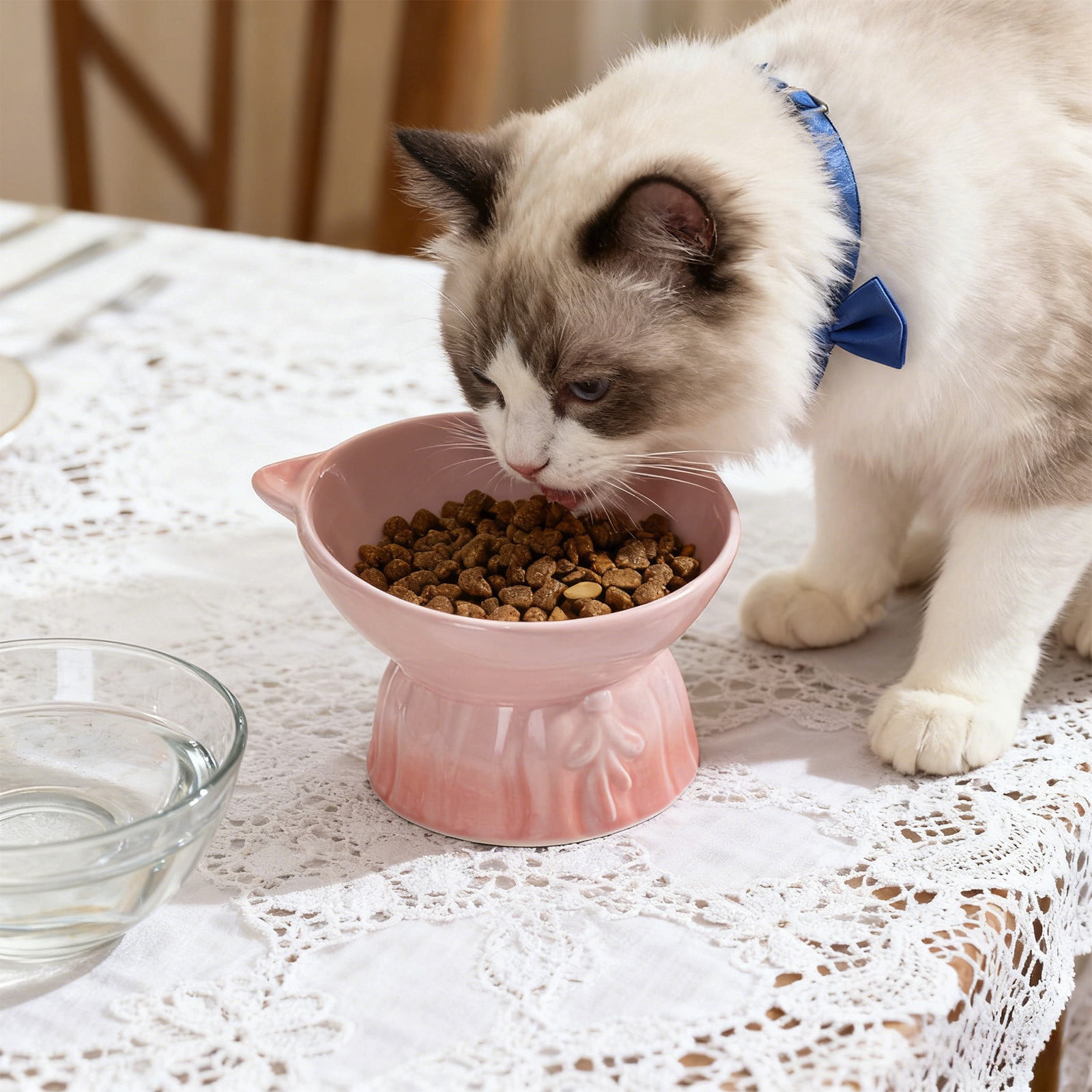 Lunxisen 2 Pcs Elevated Cat Food Bowl, Ceramic Raised and Tilted Water Bowl, Anti Vomiting and Protect Pets' Spines Dishes for Small Dog, Fat Faced Cat, Kitten
