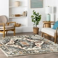 thumbnail image 5 of 4x6 Rug - Stain Resistant Washable Rug, Anti Slip Backing Rugs for Living Room, Foldable Vintage Small Area Rugs, Black, 5 of 6