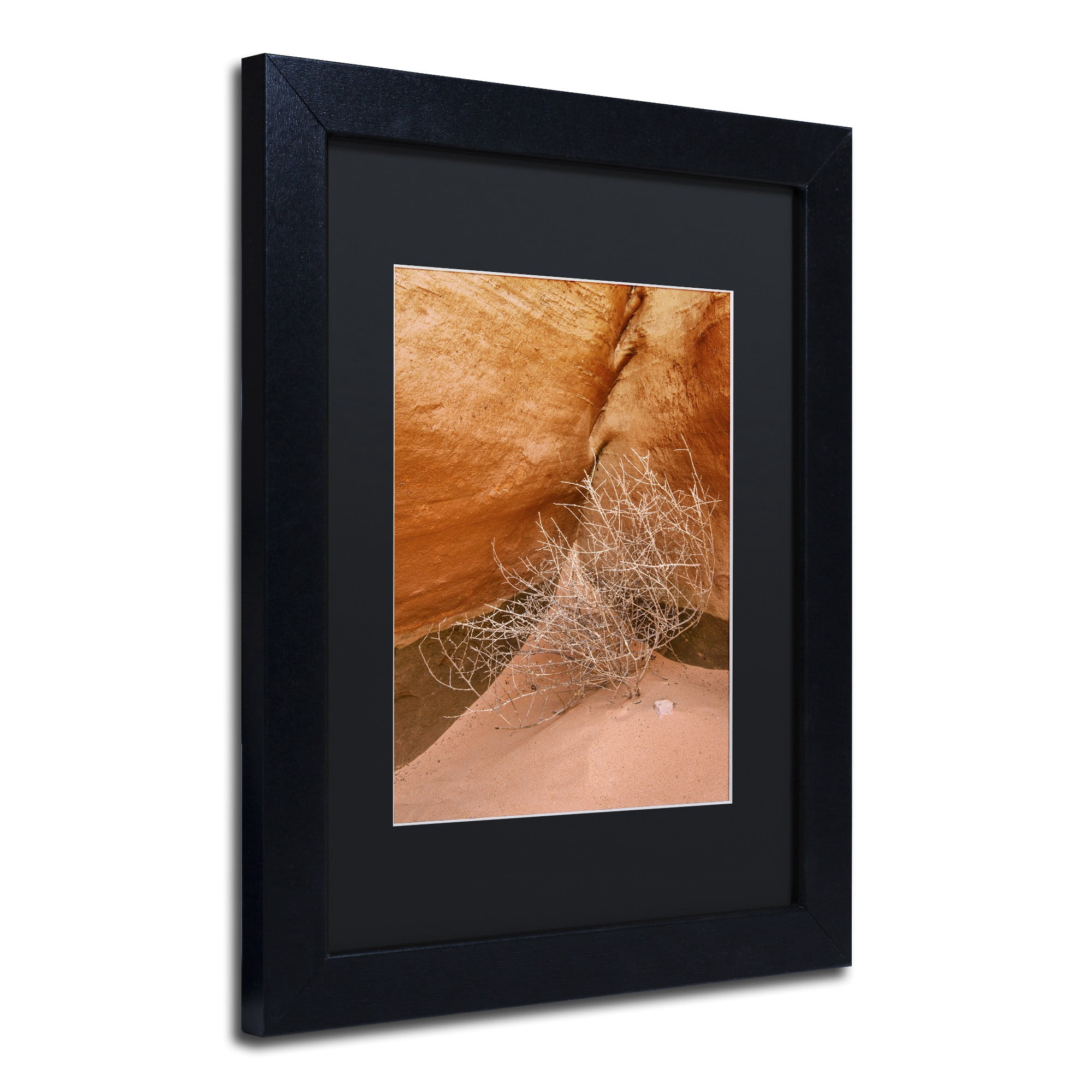 Trademark Fine Art 'Tumbleweed' Canvas Art by Michael Blanchette Photography, Black Matte, Black Frame