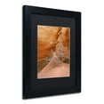 thumbnail image 3 of Trademark Fine Art 'Tumbleweed' Canvas Art by Michael Blanchette Photography, Black Matte, Black Frame, 3 of 4