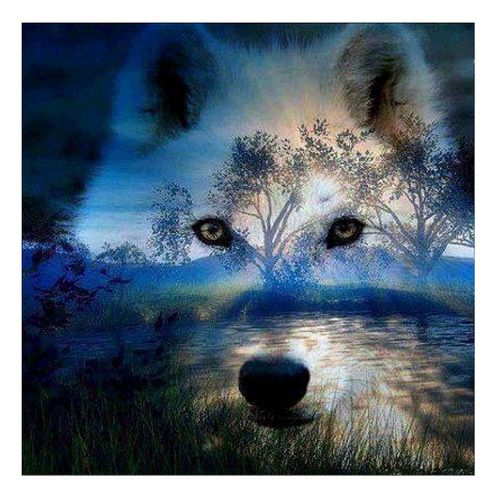 Wolf Dreamcatcher Full Drill DIY 5D Diamond Painting Kit Embroidery Decors Gifts