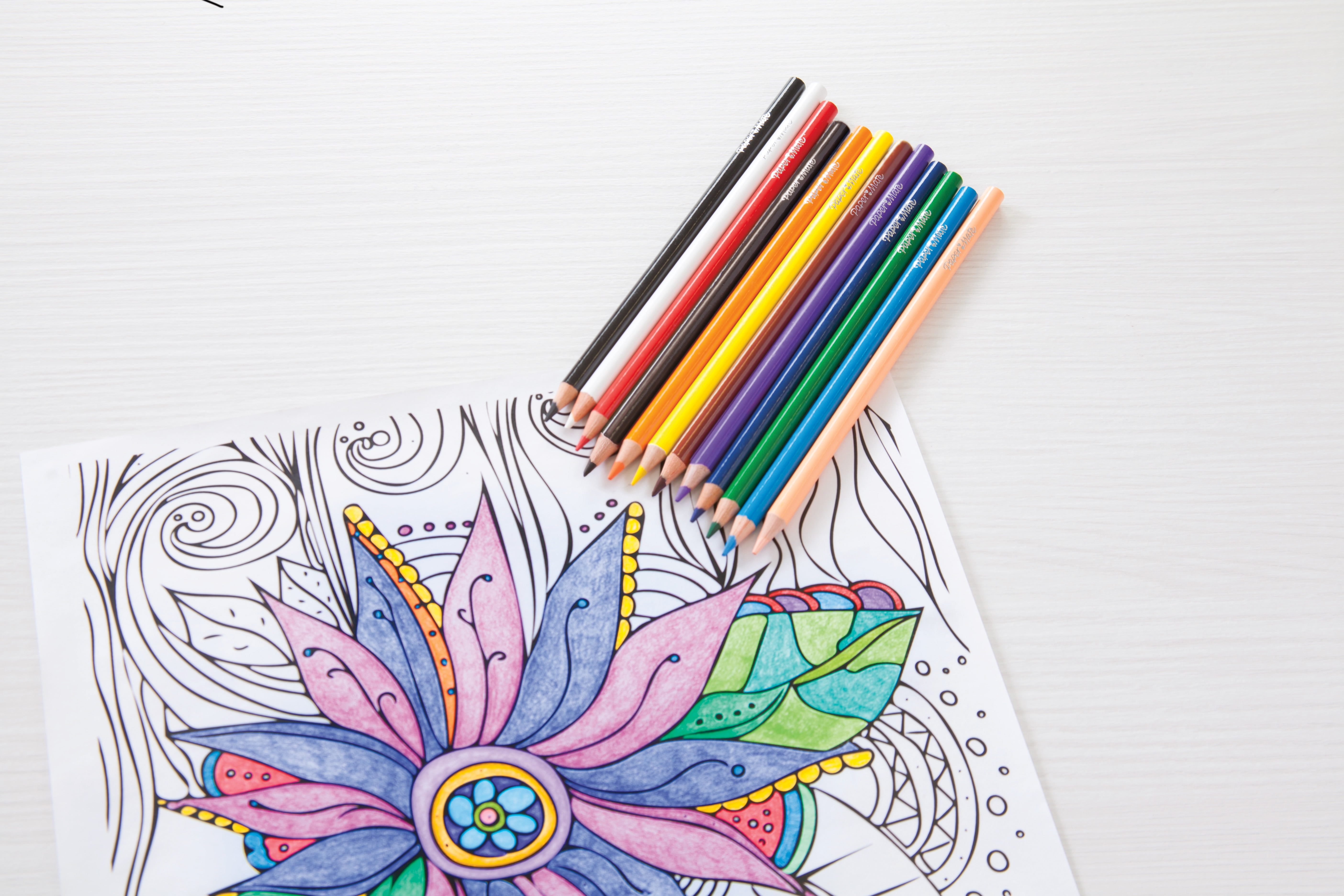 Paper Mate Doodling Kit with Flair Felt Pens, InkJoy Gel Pens, Colored Pencils and Coloring Booklet, Hard Case, 33 Count