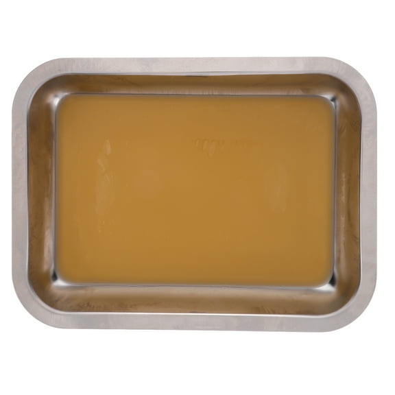 OGITUDE Multi-Functional Stainless Steel Dissection Tray with Wax Dissecting Tray Wax Dissection Tray Labs Dissection Plate for Biological Experiment