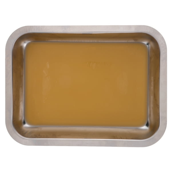 Bandeja de disección multifuncional de acero inoxidable con bandeja de disección de cera Bandeja de disección de cera Placa de disección de laboratorio para experimentos biológicos