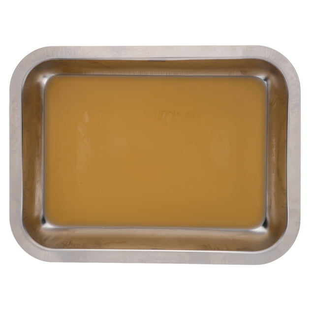 Multi-Functional Stainless Steel Dissection Tray with Wax Dissecting Tray Wax Dissection Tray Labs Dissection Plate for Biological Experiment