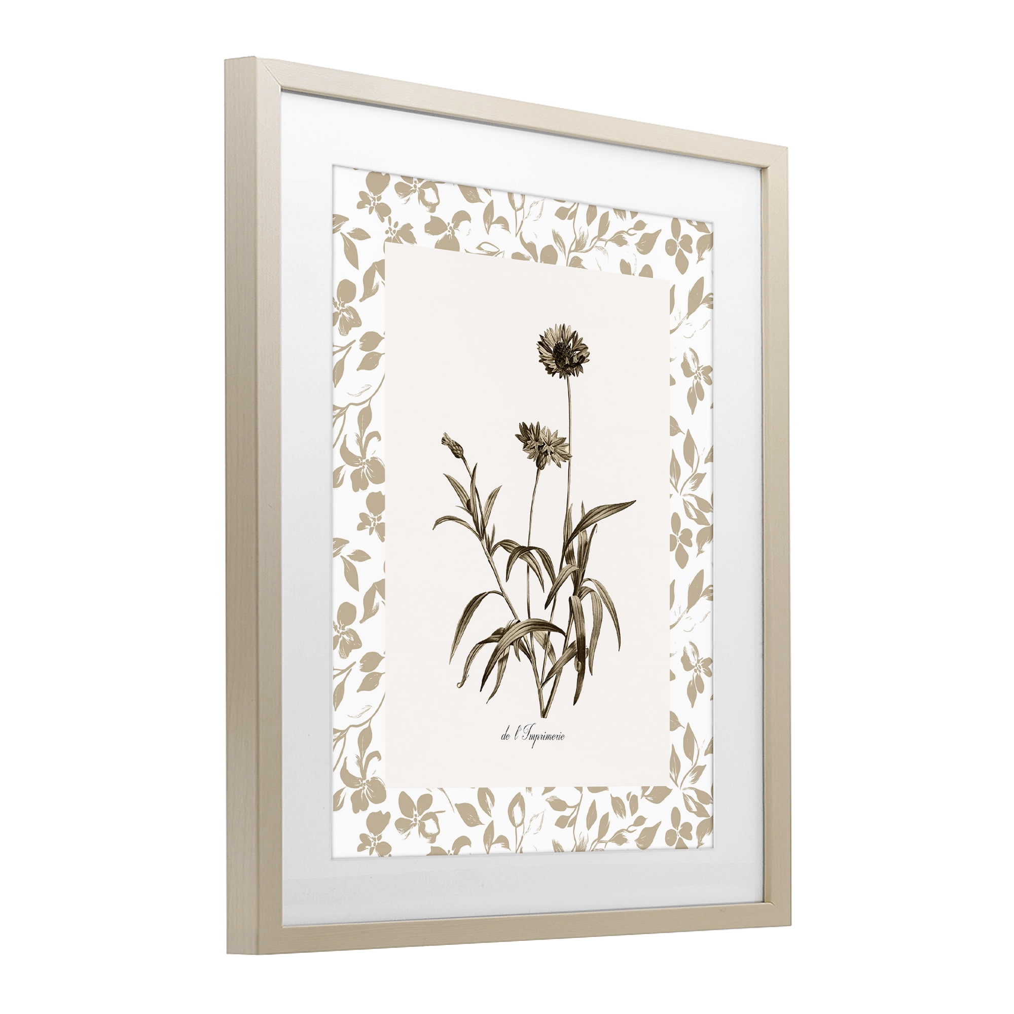 Stupell Industries Neutral Imperial Flowers Birch Framed Print Under Glass, design by Kelly Donovan