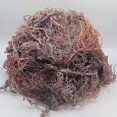 thumbnail image 2 of 🇨🇦 Purple Sea Moss 3.5oz | Wildcrafted/Raw/Sun-Dried/ 100% Natural & Organic from St. Lucia | Makes 50 oz of Sea Moss Gel | Packed Full of Naturallly Occurring Minerals and Nutrients, 2 of 7