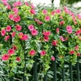 thumbnail image 2 of High-quality Uv Resistant Lifelike Artificial Flowers Correcteam Artificial Flowers Luminousey Outdoor Artificial Flowers Fake Flowers Artificial Flowers Plants, 2 of 5