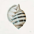 thumbnail image 3 of Pinto, Patricia 15x15 Black Modern Framed Museum Art Print Titled - Modern Shell with Teal I, 3 of 5