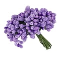 thumbnail image 1 of Billuyoard 6/8/10/12/50/70/90 Uds. Mezcla de flores moradas cereza estambre bayas paquete DIY Navidad pastel de boda caja de regalo decoración de coronas Flores artificiales No.13 Billuyoard HA002016-13, 1 of 1