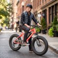thumbnail image 7 of Wooken 4.0" Fat Tire 20" Electric Bike for adults, Peak 750W E-Mountain bike, 48V 499WH Removable Battery, Up to 45 Miles Electric Bicycle, Off Road E-Bike,SGS Certified to UL 2849, 7 of 7