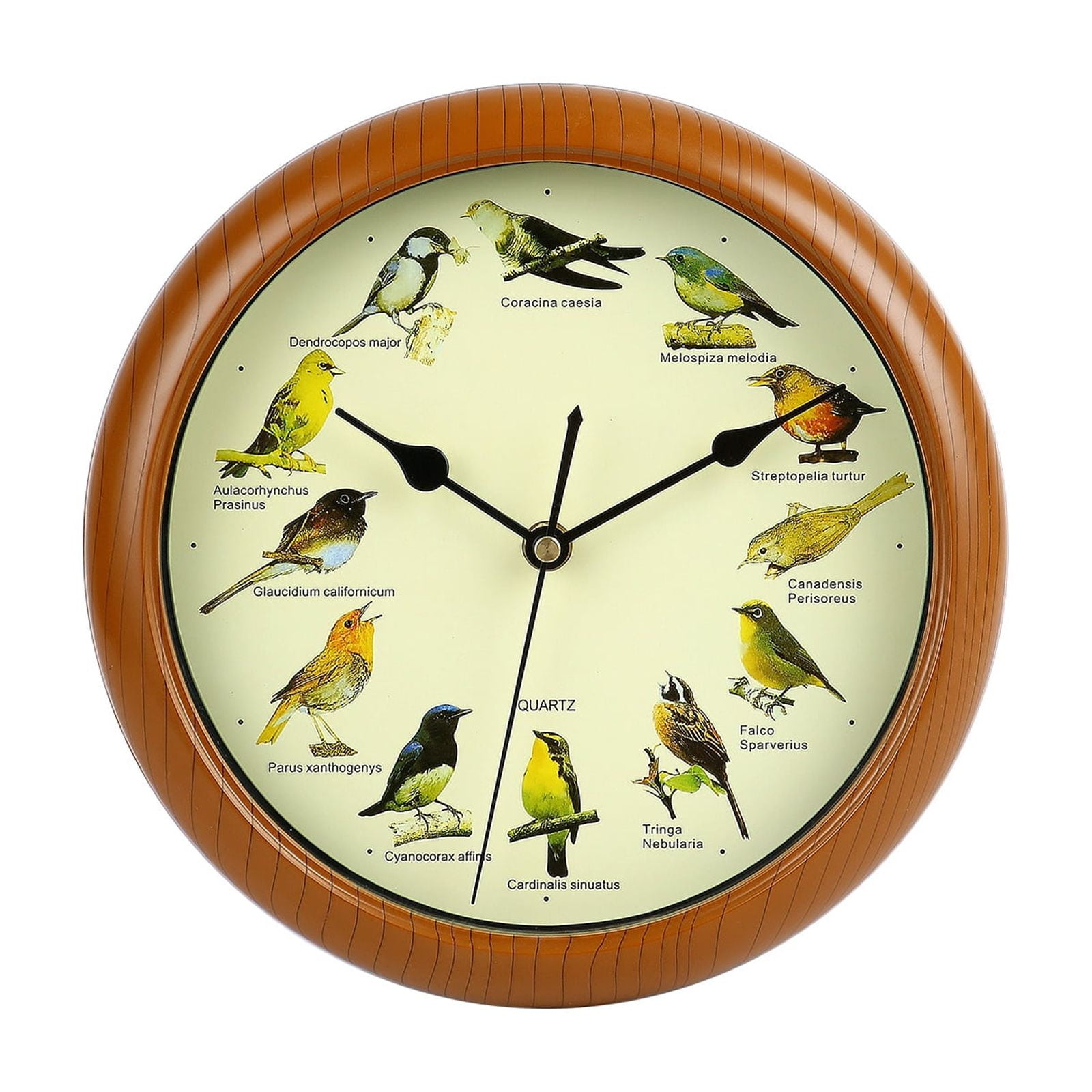 10 Bird Wall Clock with Hourly Singing Bird Sounds, Decorative Battery Operated Bird Sound Wall Clock for Home, Kitchen, Living Room & Office Decor
