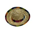 thumbnail image 2 of Mini sombrero de paja tejido a mano, fácil de usar, lindo sombrero para perro, accesorios adorables, gorra para mascota, fiesta Bordes de colores, 2 of 8