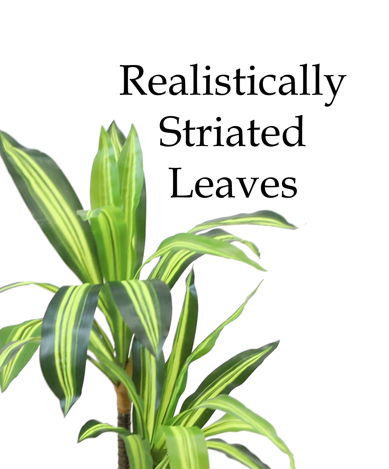 The Mod Greenhouse 40" Artificial Variegated Dracaena Tree in a 5.5" Black Matte Contemporary Pot (22 Leaf)