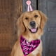 thumbnail image 3 of Babero clásico a cuadros para cachorros y mascotas con accesorios para sombrero de fiesta de cumpleaños para perros, conjunto de suministros para fiestas de disfraces de cumpleaños para mascotas, 3 of 5
